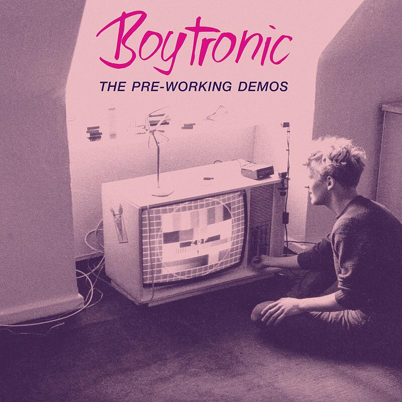 THE PRE-WORKING DEMOS