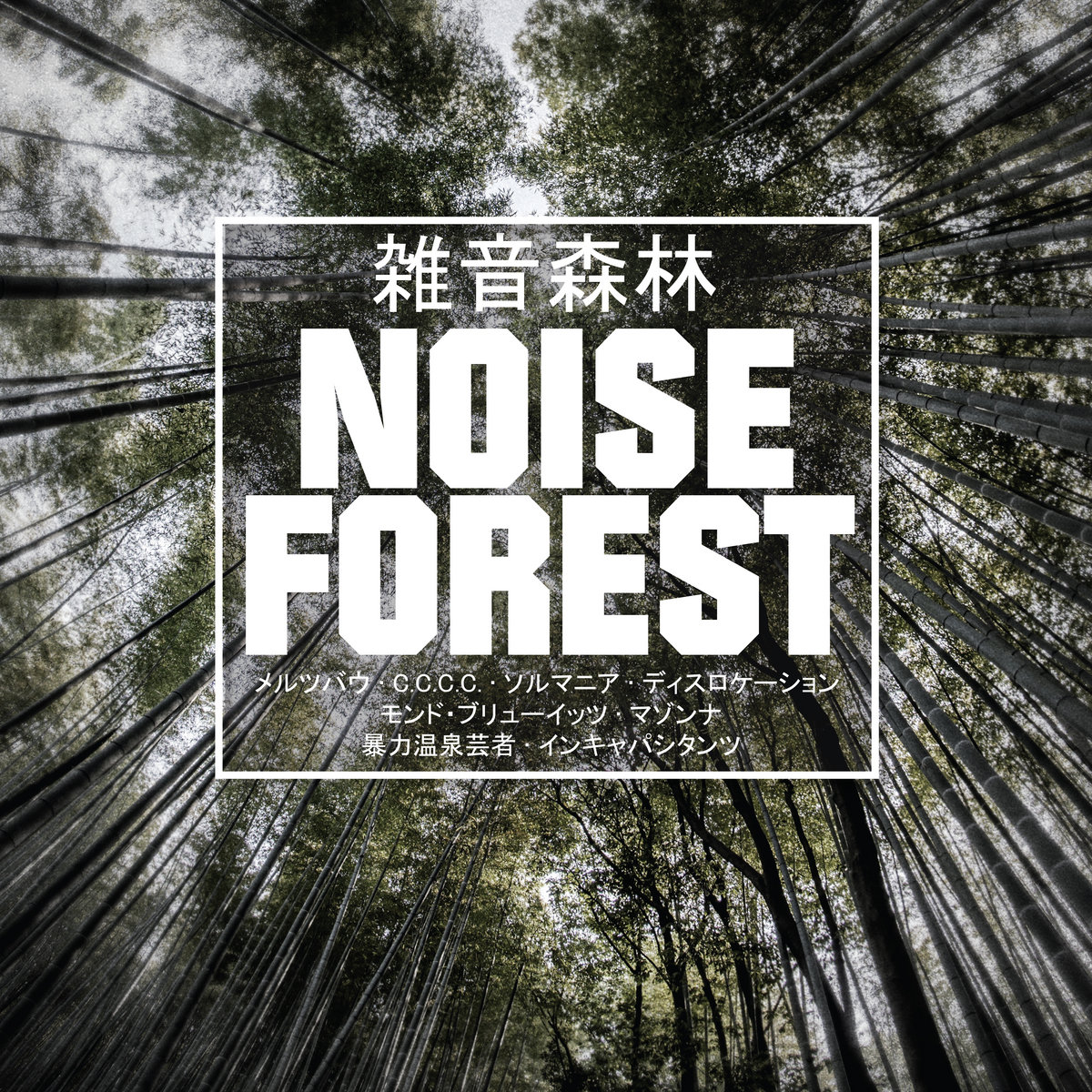 NOISE FOREST